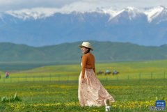新疆那拉提草原美景引游人